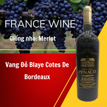 Rượu vang đỏ Blaye Cotes De Bordeaux