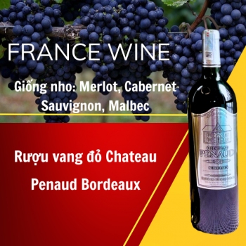Rượu vang đỏ Chateau Penaud Bordeaux